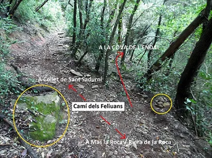 Fotografia de ENDAL, COVA DE L' (1 de 8)