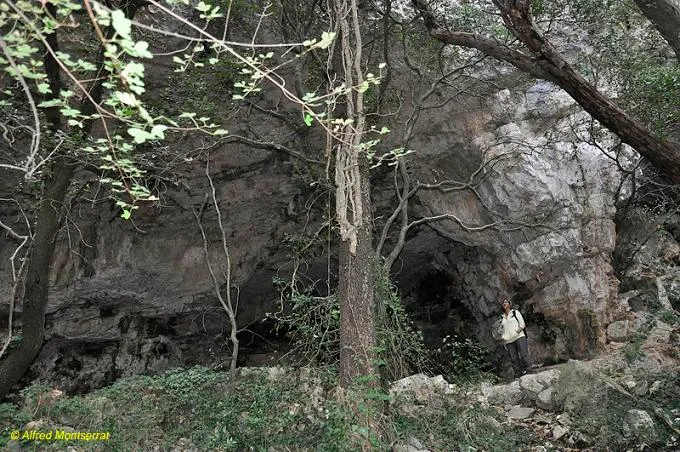 Fotografia de MAS VILAR, COVA DE (1 de 4)