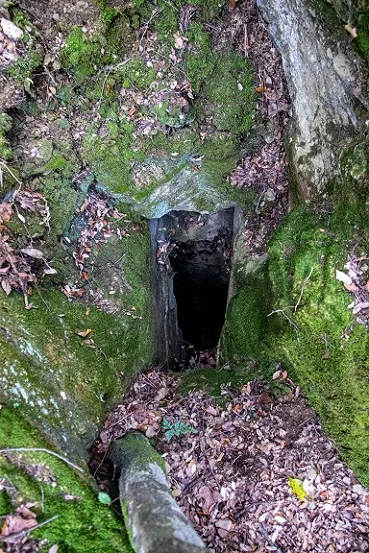 Photograph of GUILLOTERES, COVA DE LES (3 of 3)