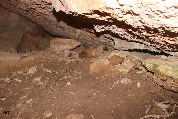 Fotografia de OMO, COVA (3 de 3)