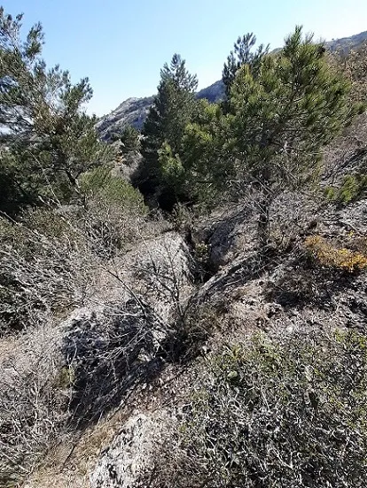 Fotografía de AUFERÍ, AVENC DE L' (1 de 2)