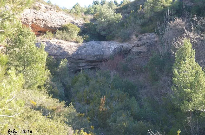 Fotografia de POTAU, COVA DEL (1 de 5)
