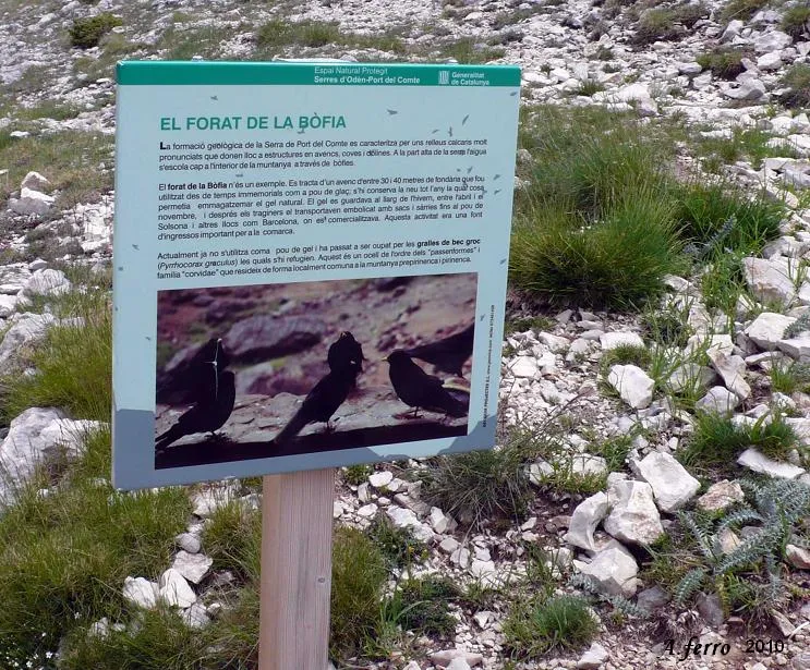 Fotografia de PORT DEL COMTE, BÒFIA DEL (2 de 5)