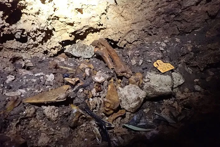Fotografía de CORRAL DE REINA, AVENC DE (5 de 5)
