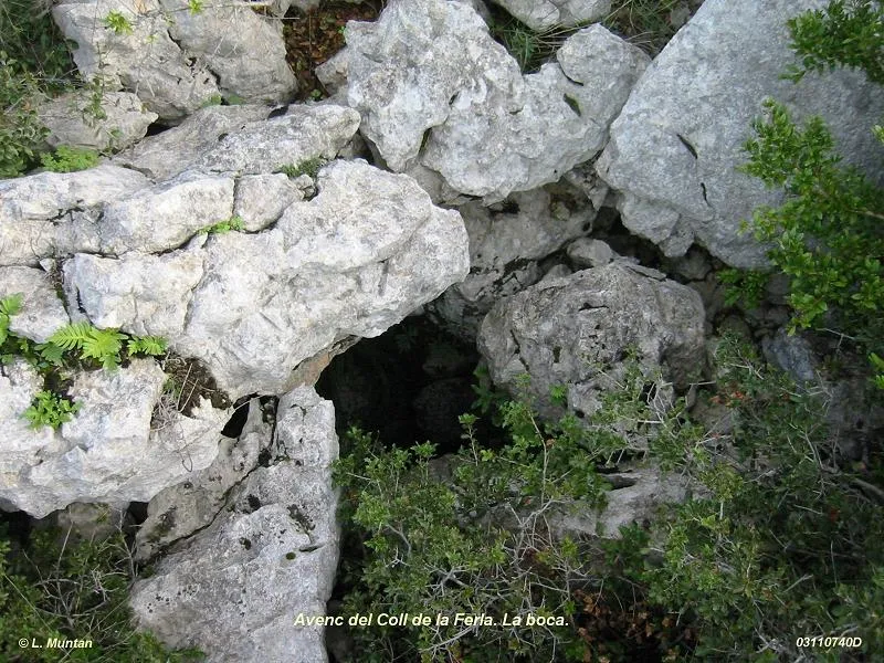 Fotografía de COLL DE LA FERLA, AVENC DEL (1 de 1)