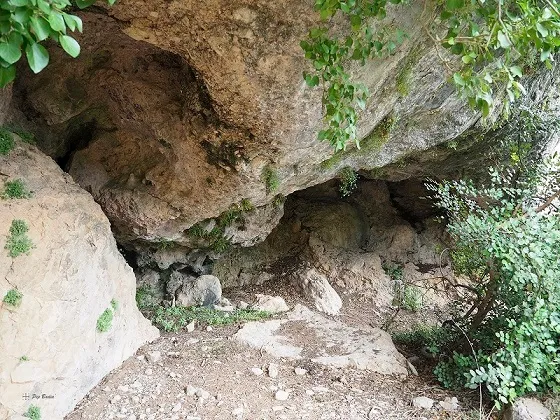 Photograph of CARAMELLA, FORATS DE LA (2 of 3)