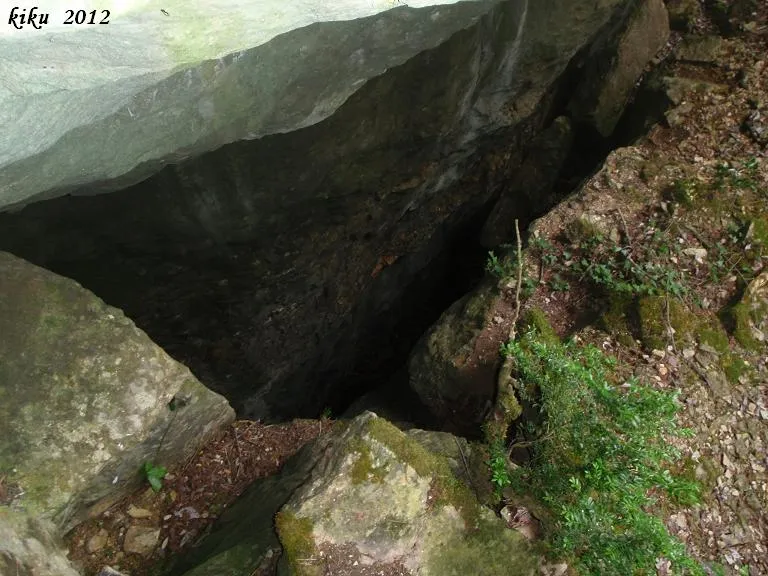 Fotografia de MOTLLATS DE LA PONA, AVENCOTS DELS (4 de 6)