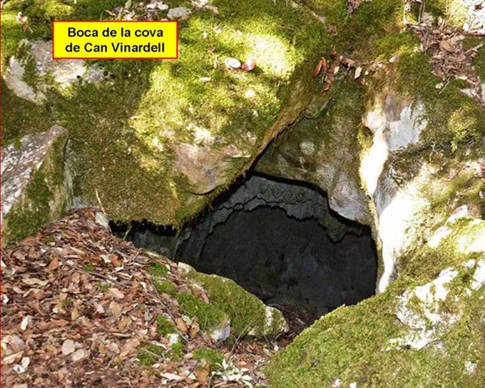 Photographie de CAN VINARDELL, COVA DE (1 sur 8)