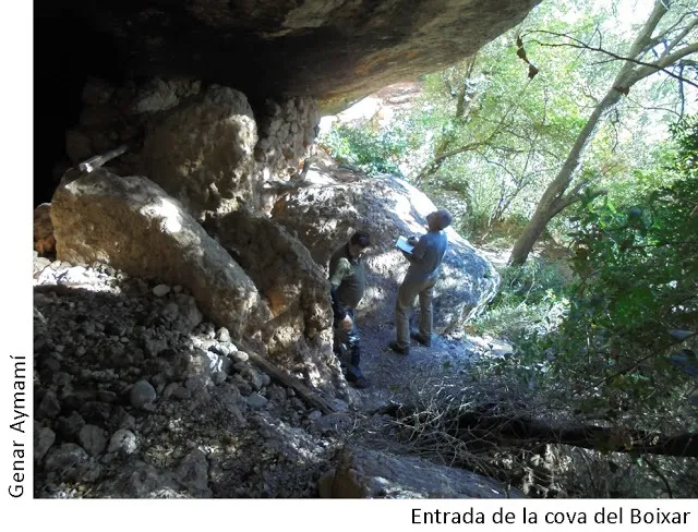 Photographie de BOIXAR, COVA DEL (2 sur 4)