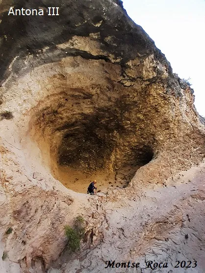 Fotografia de ANTONA, COVES D' (11 de 17)