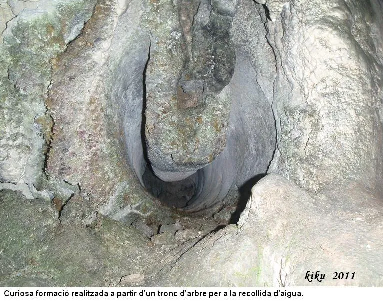 Photograph of NEGRA DE MATA-SOLANA, COVA (7 of 9)