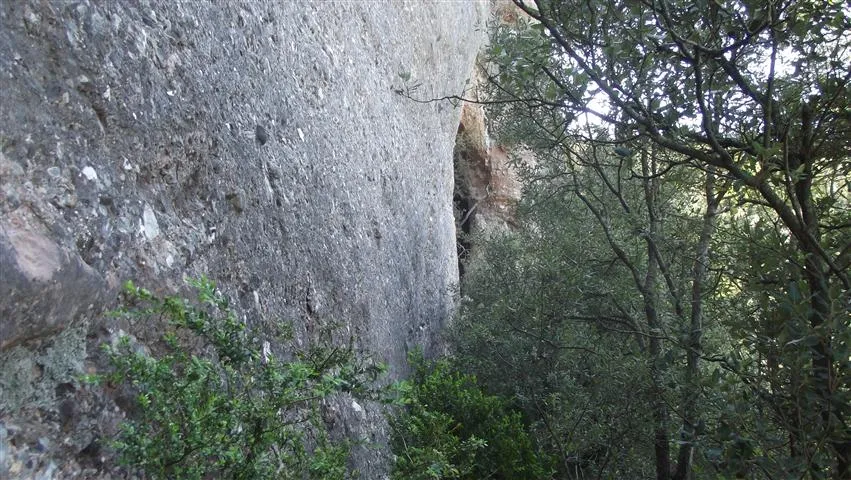 Photograph of ESQUIROL, COVA DE L' (2 of 7)