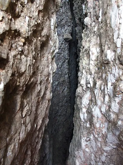 Fotografía de SANT SALVADOR, ESCLETXA DE (4 de 4)