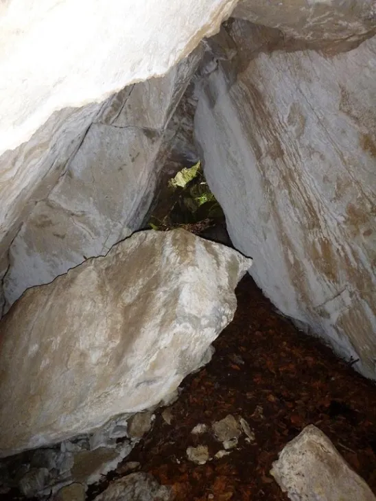 Fotografia de CINGLE DEL BODRO, COVA DEL (2 de 4)