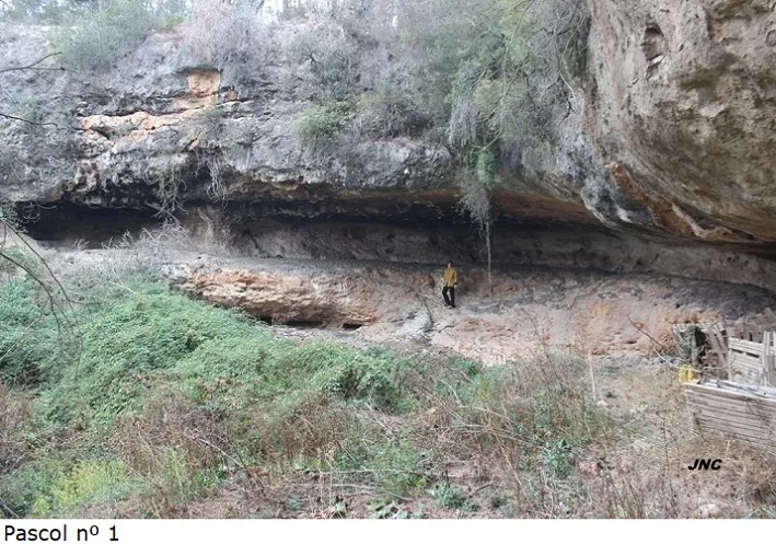 Fotografía de PASCOL, COVES DEL (3 de 10)
