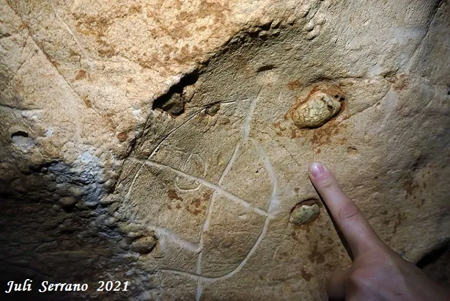 Fotografia de PEIXET, COVA D'EN (9 de 35)