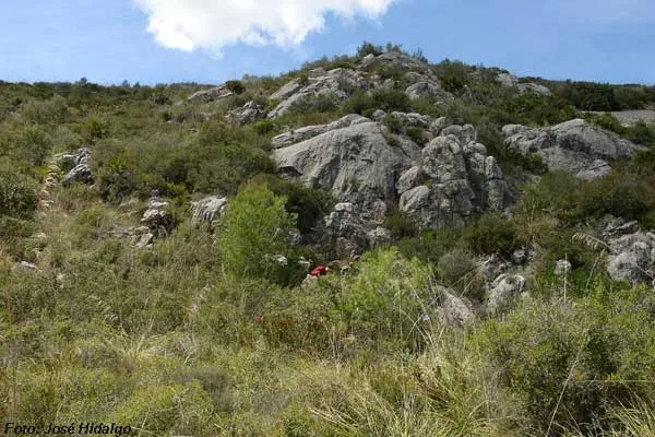 Fotografia de PENYA EMBASSADA, AVENC DE (1 de 8)