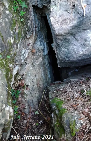 Fotografia de SERRA DEL MAS, COVA SM-16 DE LA (2 de 9)