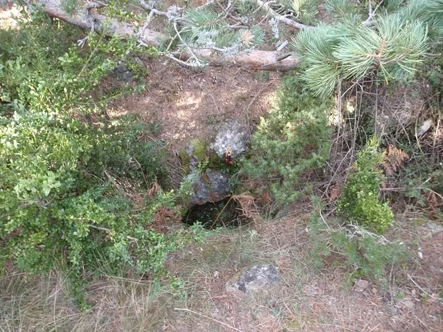 Fotografía de CURSA, AVENC DE LA (1 de 6)