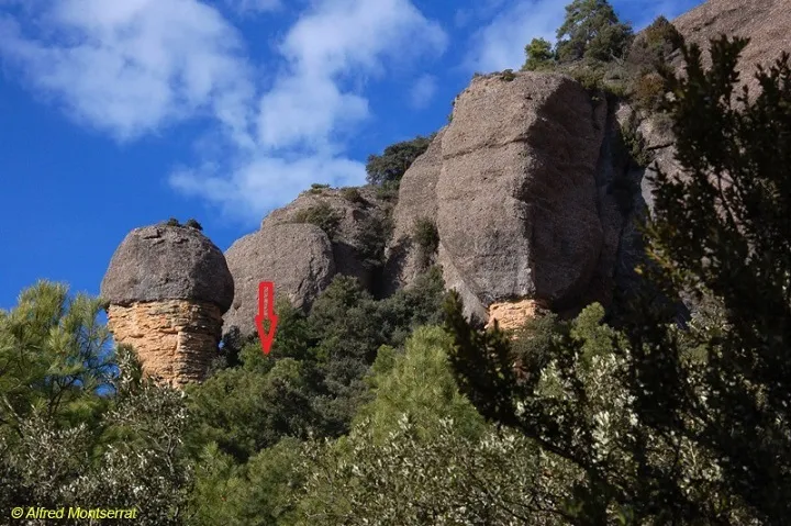 Photographie de CIGALOT DEL CORB, BALMA DEL (3 sur 6)
