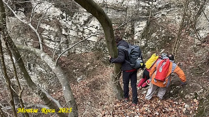 Fotografía de MASSANA, COVA DEL (2 de 9)