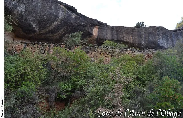Fotografia de ARAN DE L'OBAGA, COVA DE L' (1 de 3)