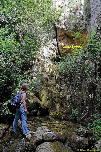 Fotografía de CAL SALA, COVES DE (3 de 6)