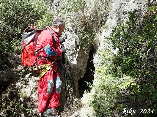 Fotografia de CINGLE DELS PINS ALTS, COVA DEL (2 de 8)