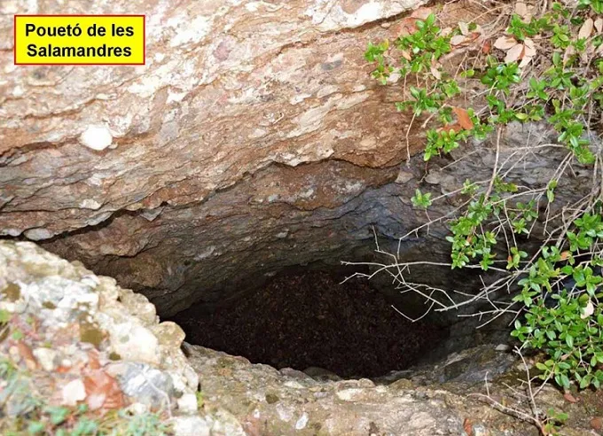 Photographie de SALAMANDRES, POUETÓ DE LES (1 sur 3)