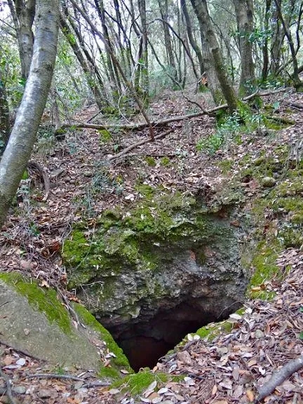 Fotografia de COSTA DEL TET, AVENC DE LA (1 de 1)