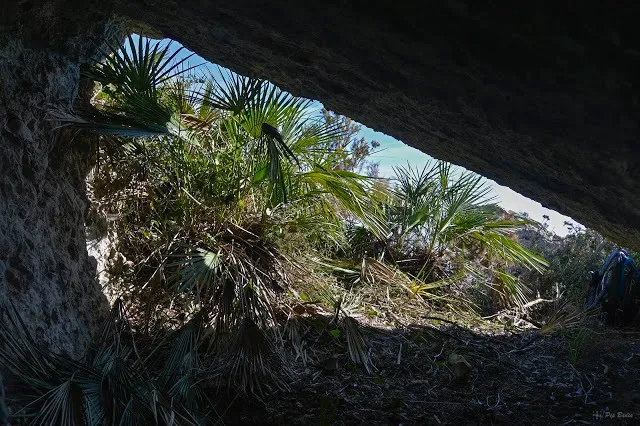 Photograph of TORTUGA, COVA DE LA (3 of 4)