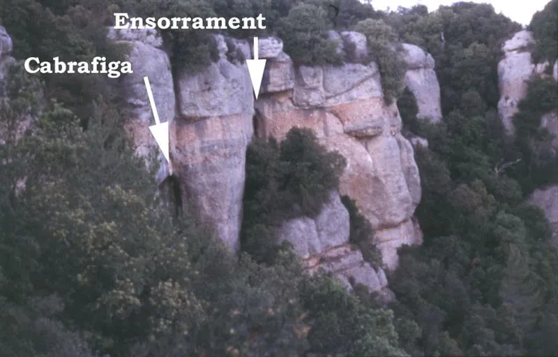 Fotografía de CABRAFIGA, COVA DE LA (1 de 2)