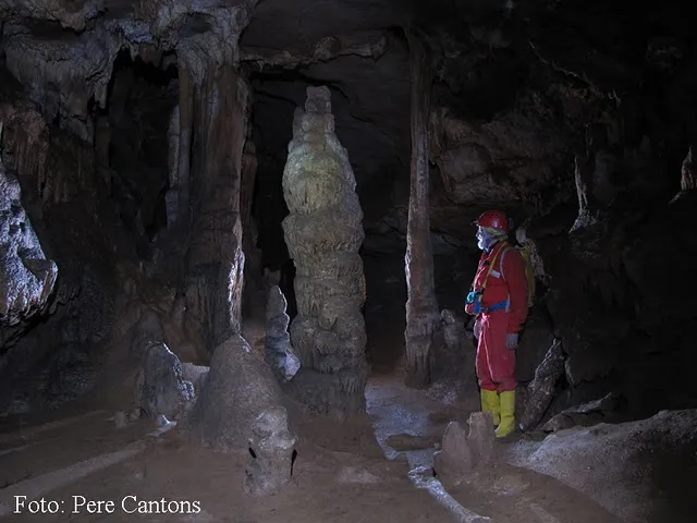 Photograph of ANES, COVA D' (4 of 8)
