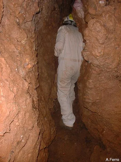 Fotografía de TOIXONS, COVA DELS (6 de 8)