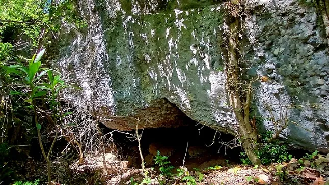 Photograph of TRONASSETA, LA (1 of 4)