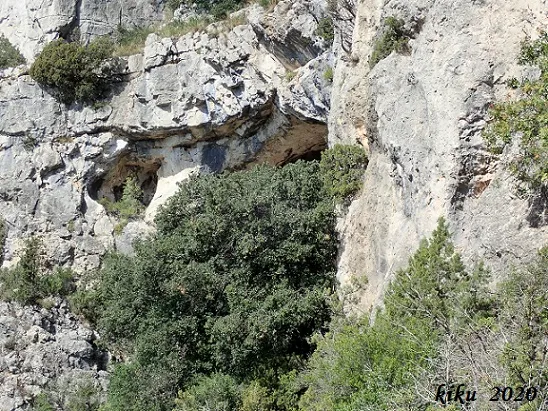 Fotografía de CINGLE DE L'ABELLERA, COVA DEL (1 de 6)