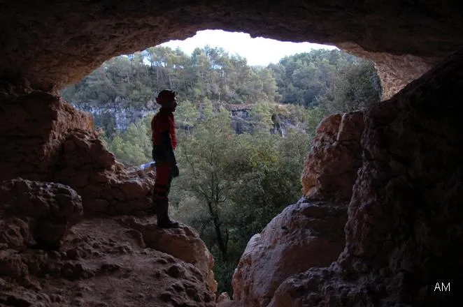 Fotografía de CASTELLOLÍ, COVES DE (1 de 10)