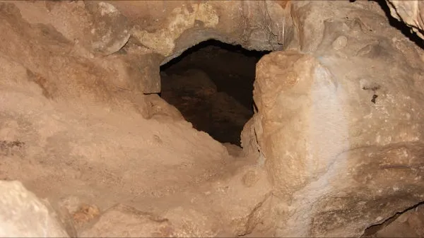 Photograph of GARROFER, COVA DEL (2 of 5)