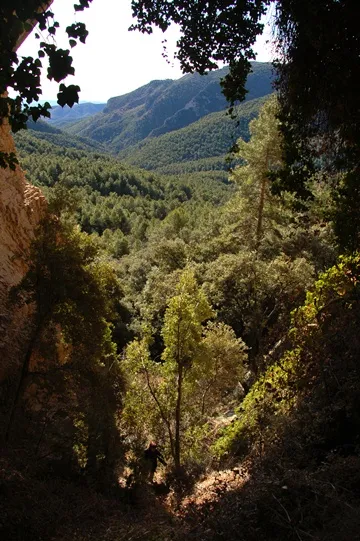 Photograph of FONT DEL BEGALOT, BALMA DE LA (2 of 6)