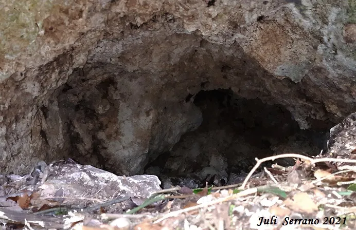 Fotografia de SERRA DEL MAS, AVENC SM-27 DE LA (5 de 5)