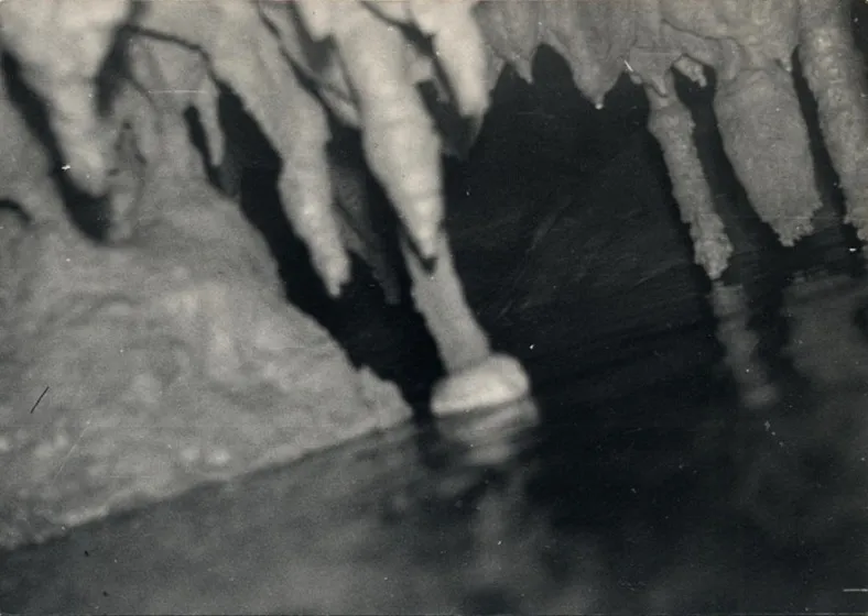 Photographie de PASQUAL, ULLAL DE (2 sur 8)