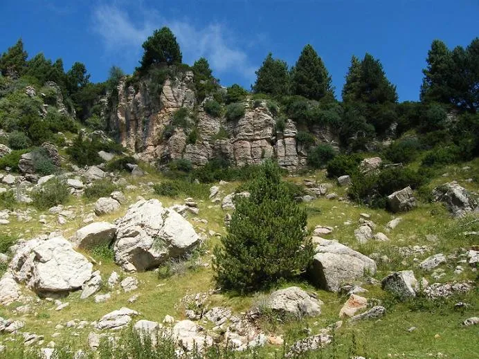 Fotografía de PEDRÓ, BÒFIA DEL (4 de 5)