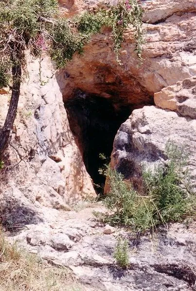 Photograph of BARRANC FONDO, COVA DEL (1 of 1)