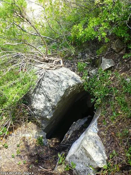 Fotografía de ALEU, COVA DE L' (1 de 6)