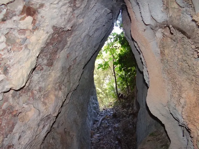 Fotografía de CINGLE DELS ÒBITS, COVA DEL (2 de 3)
