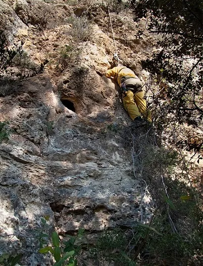Photographie de SECABECS, GATERA PENJADA DE (1 sur 5)