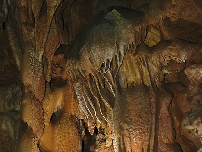 Fotografia de FECUNDITAT, AVENC DE LA (8 de 9)
