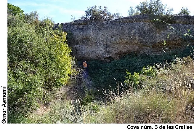 Fotografía de GRALLES, COVA Nº3 DE LES (1 de 2)
