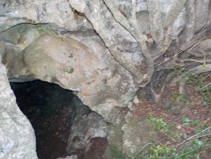 Photographie de PARRILLO-SERRA, COVA DEL (1 sur 3)