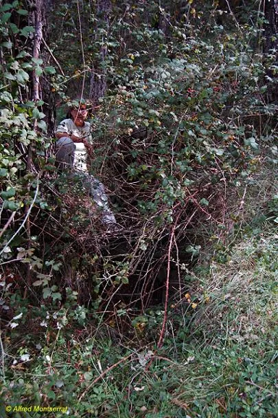 Fotografia de CAN BARRACA, TUTA DE (1 de 2)